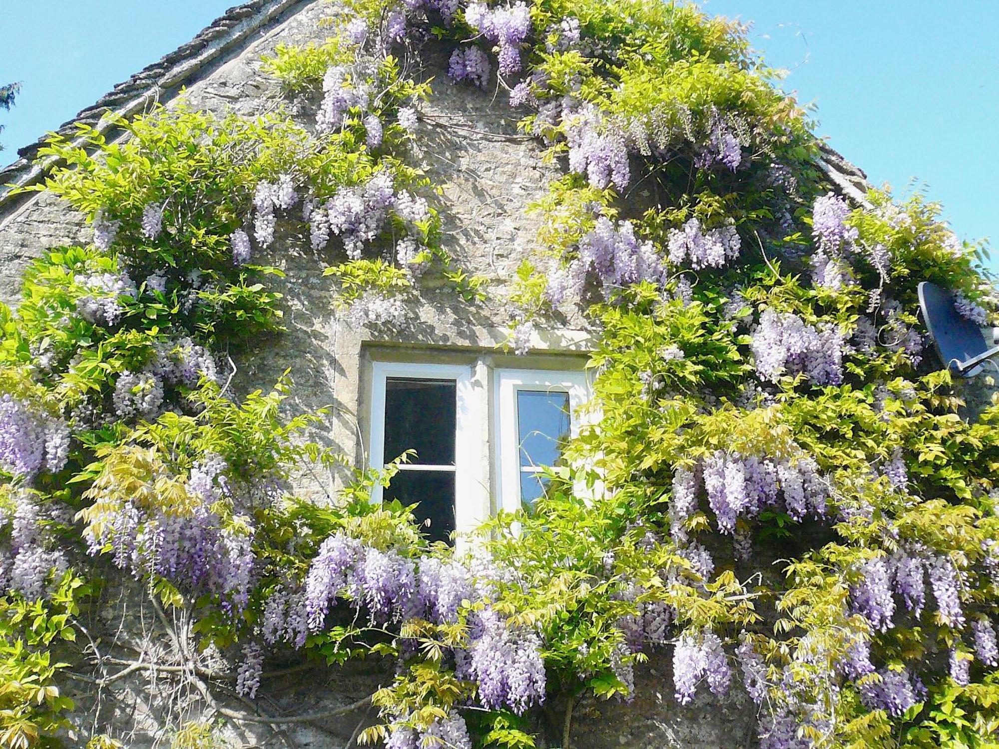 Ivy Cottage Chedworth ภายนอก รูปภาพ